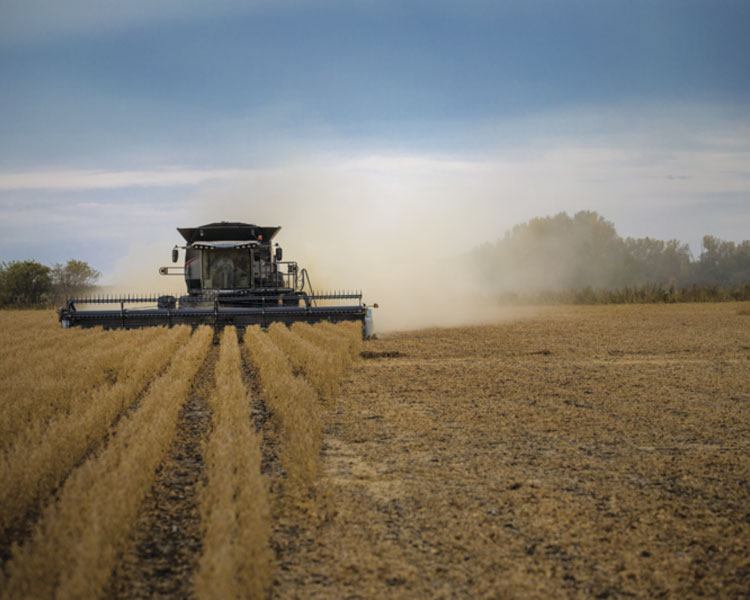 Combine Harvesting Field