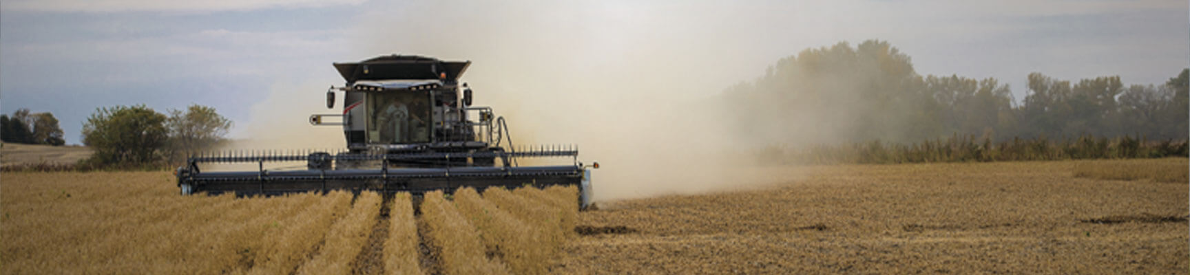 Combine Harvesting Field