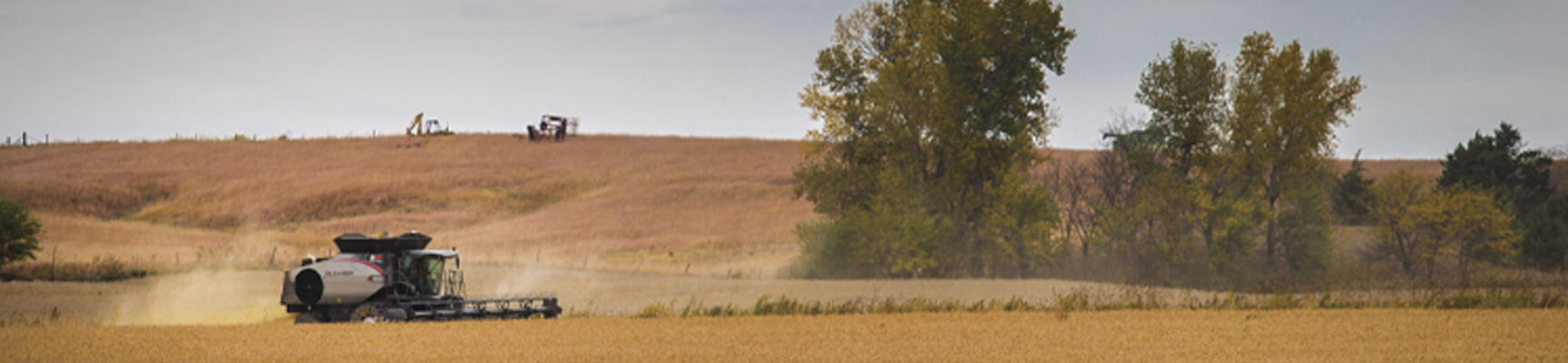 Combine Harvesting Field