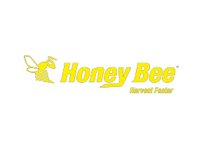Honey Bee